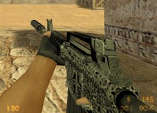 Leopard Colt